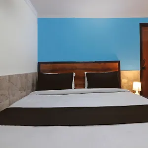 https://flagship-bluemoon-inn-south-campus.hotelsdelhi.org